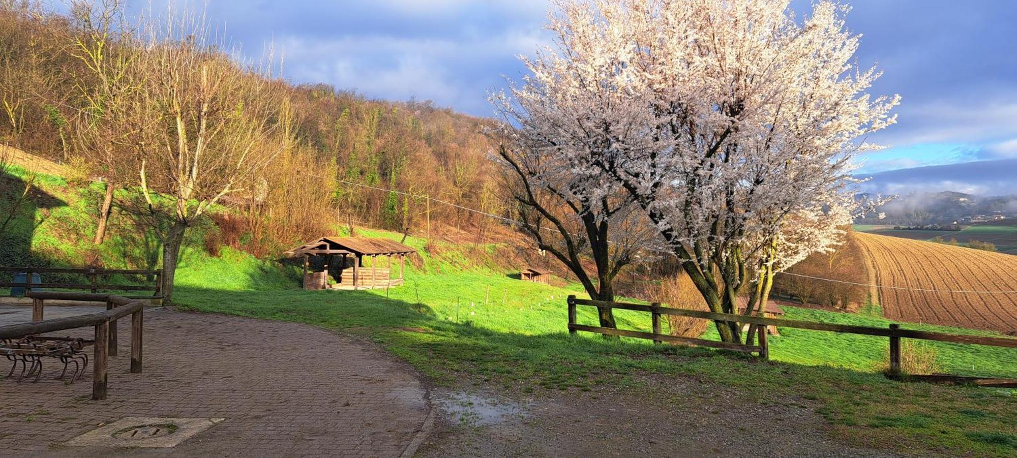 Cascina Fazioli Βίλα Alfiano Natta Εξωτερικό φωτογραφία