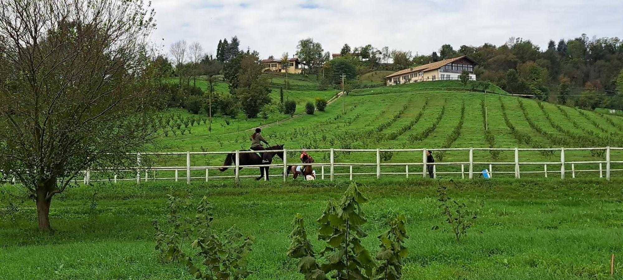 Cascina Fazioli Βίλα Alfiano Natta Εξωτερικό φωτογραφία