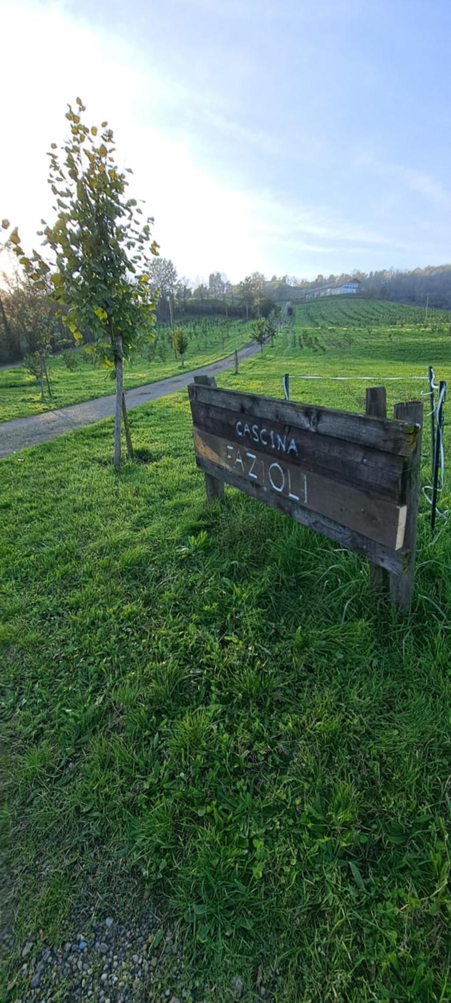 Cascina Fazioli Βίλα Alfiano Natta Εξωτερικό φωτογραφία