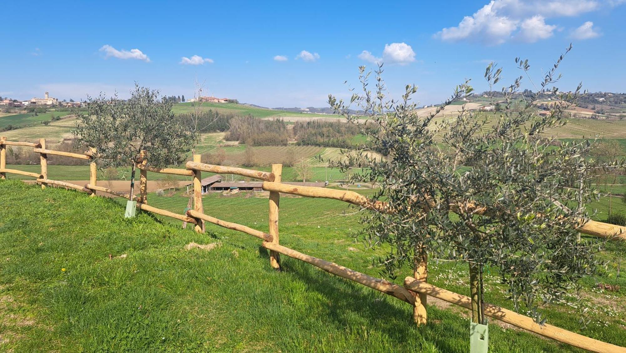 Cascina Fazioli Βίλα Alfiano Natta Εξωτερικό φωτογραφία